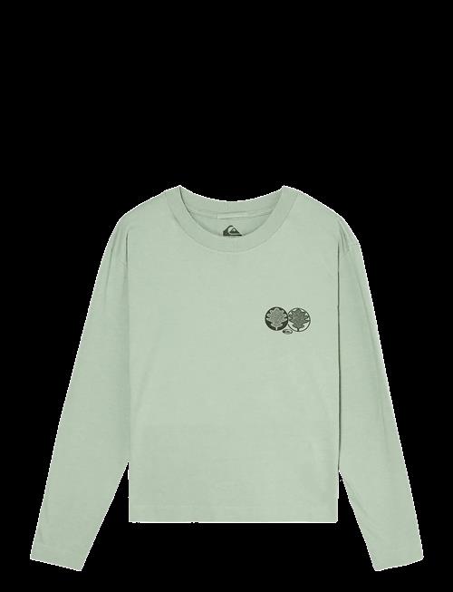 Quiksilver | Standard Ls Tee | L