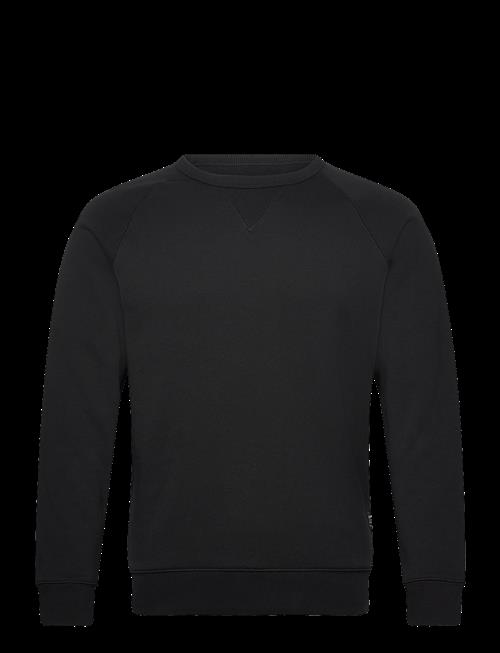 Replay | Jumper Regular | XXL