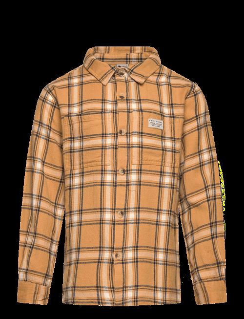 Daily 7 | Shirt Check Print | 86