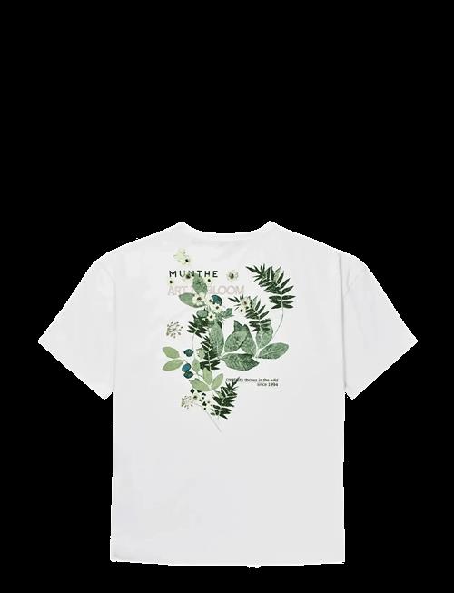 Munthe | Lanster | L