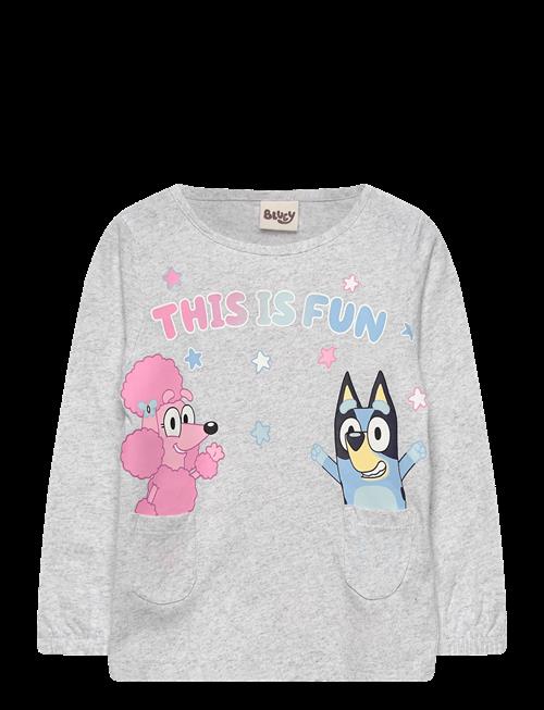Bluey | Tshirt | 116