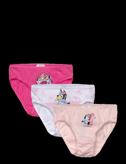 Bluey | Briefs | 110/116