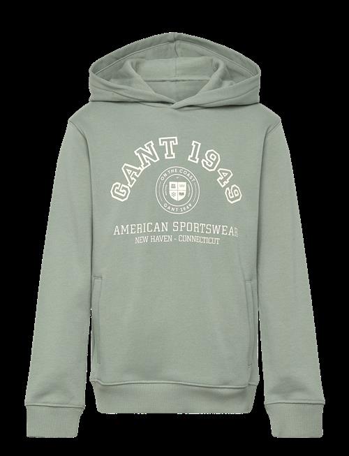 Gant Kids | Collegiate Logo Hoodie | 140