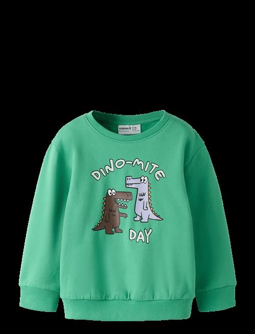 name it | Nmmdakkian Ls Nreg Swe Bru | 116