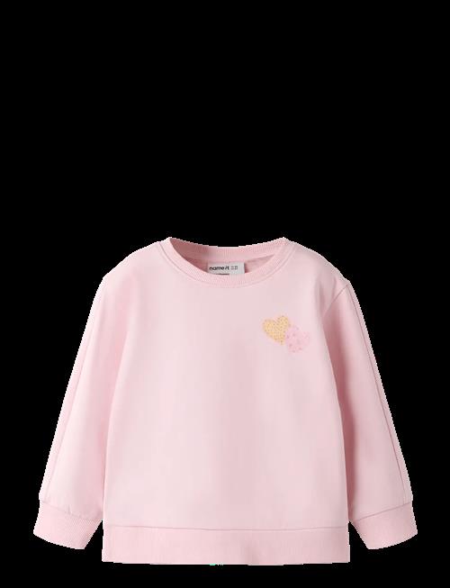 name it | Nmfdenila Ls Nreg Swe Bru | 116