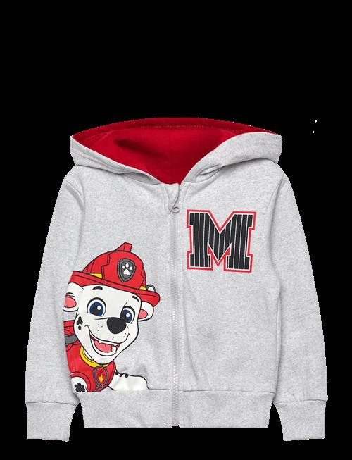 Paw Patrol | Sweats | 98