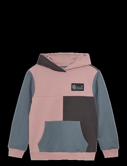 Color Kids | Sweat Hoodie - Colorblock | 110