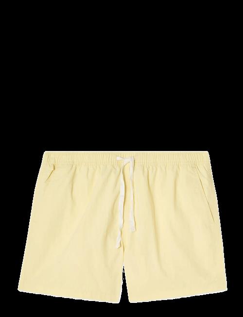 Lexington Clothing | Teen Boy Swim Trunks | 158-164