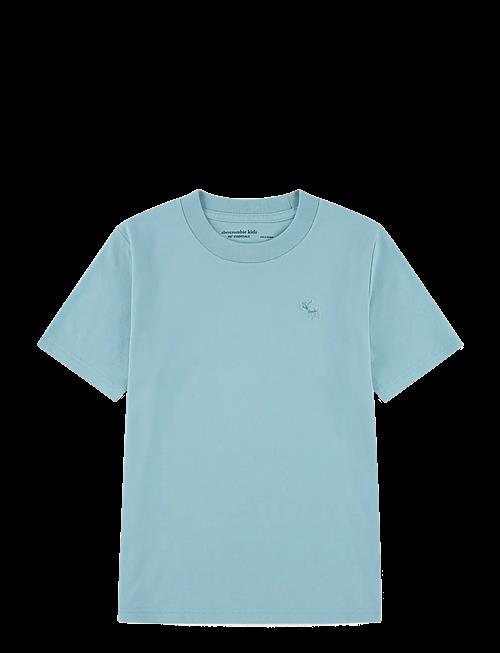 Abercrombie Kids | Te-S/S Tee | 128/147