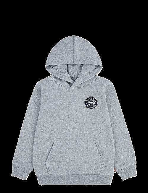 Levi's | Levi's® Modern Crest Pullover Hoodie | 104