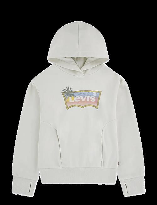 Levi's | Levi's® Ombre Batwing Oversized Hoodie | 176