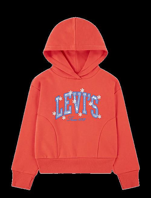 Levi's | Levi's® Graphic Logo Oversized Hoodie | 176