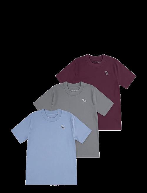 Abercrombie Kids | 3T-3Pk Ss Tee | 128/147