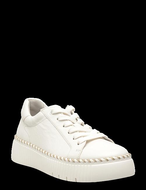 Gabor | Sneaker | 37.5