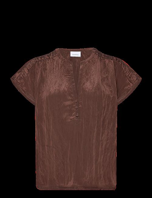 Dante6 | Dante6-Rover Detailed Top | 40