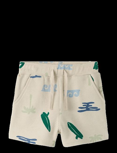 name it | Nmmfalcan Nreg Shorts | 92