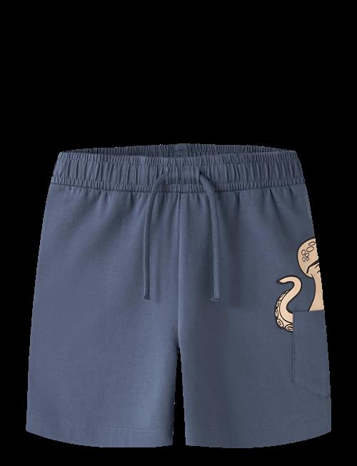 name it | Nmmfikz Nreg Shorts | 104