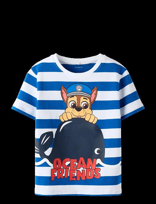 name it | Nmmmilan Paw Ss Nreg Top Box Cplg | 110