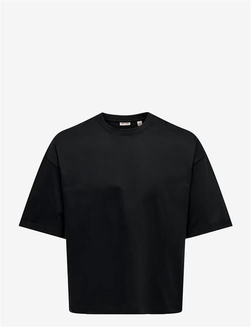 ONLY & SONS | Onsfred Rlx Ss Crop Tee | XL