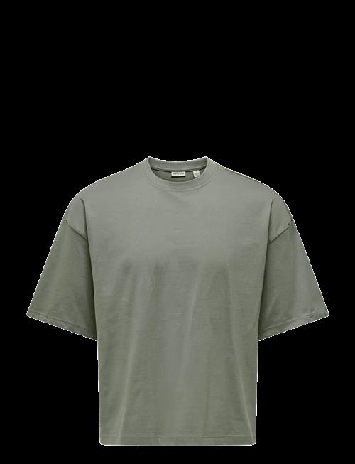 ONLY & SONS | Onsfred Rlx Ss Crop Tee | S
