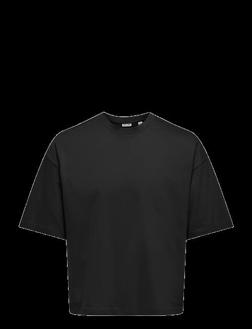 ONLY & SONS | Onsfred Rlx Ss Crop Tee | XL