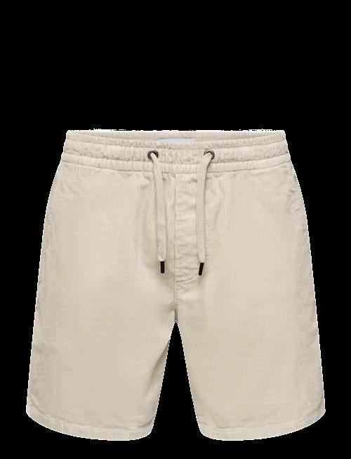 ONLY & SONS | Onstel Corduroy 0185 Shorts Noos | S