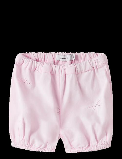 name it | Nbffinas Bloomer | 80