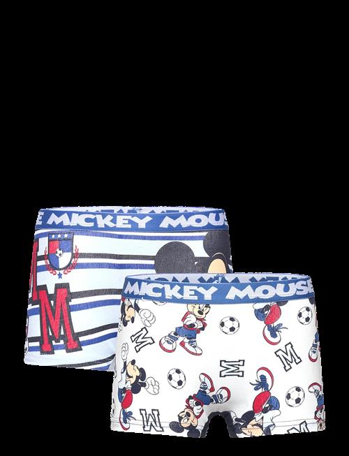 Disney | Boxer | 104/110
