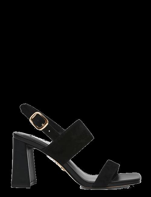 Steve Madden | Wendie | 41