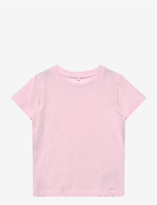 name it | Nmfvibbi Ss Top Noos | 86