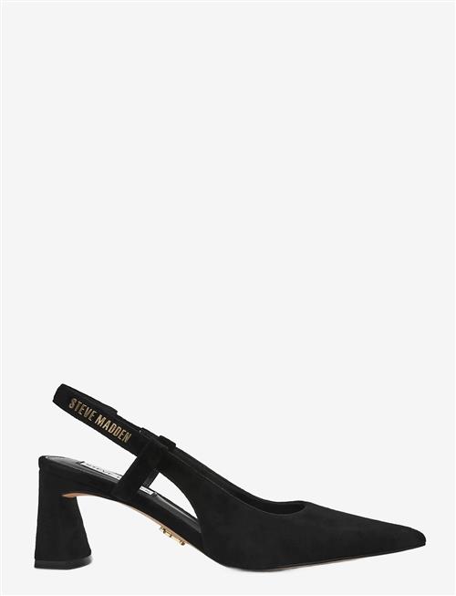 Steve Madden | Evanston | 36