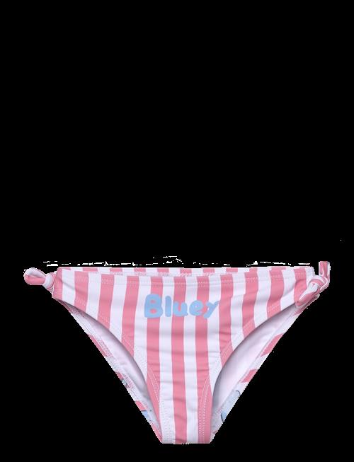 Bluey | Swimwear | 110