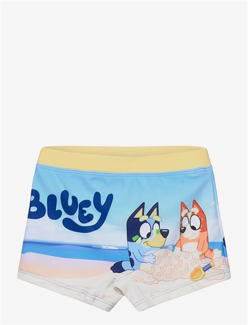 Bluey | Swimwear | 98