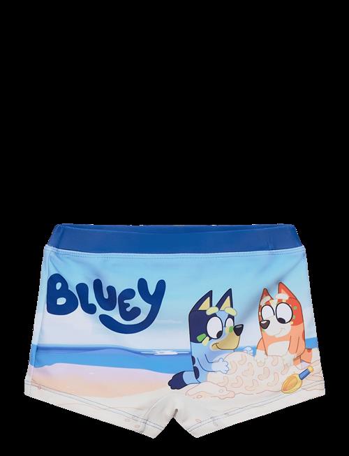 Bluey | Swimwear | 98