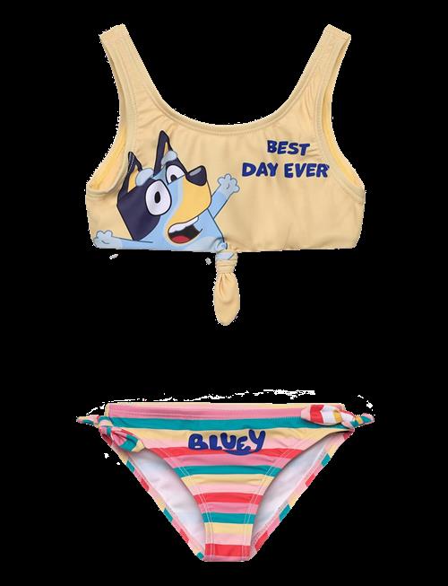 Bluey | Swimwear | 104