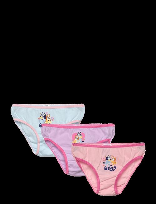 Bluey | Briefs | 104/110