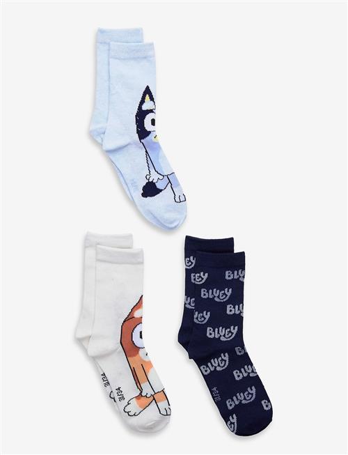 Bluey | Socks | 23/26