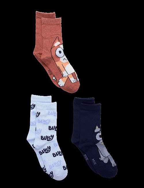 Bluey | Socks | 23/26
