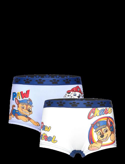 Paw Patrol | Boxer | 110/116