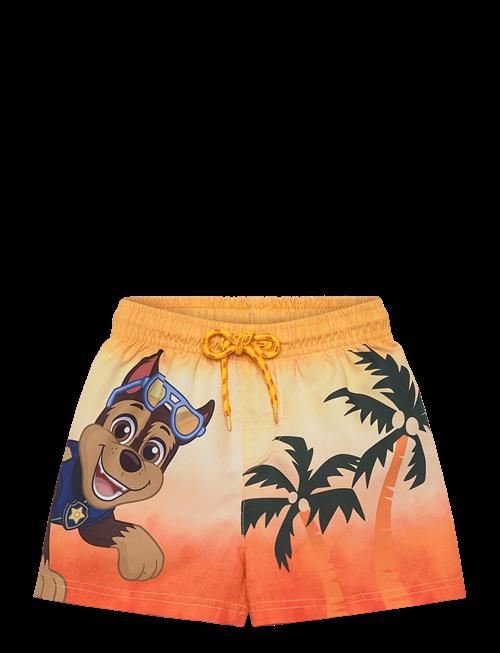 Paw Patrol | Swimwear | 110