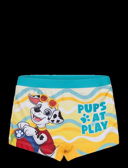 Paw Patrol | Swimwear | 98