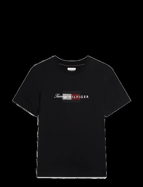 Tommy Hilfiger | Script Flag Regular Tee | XL