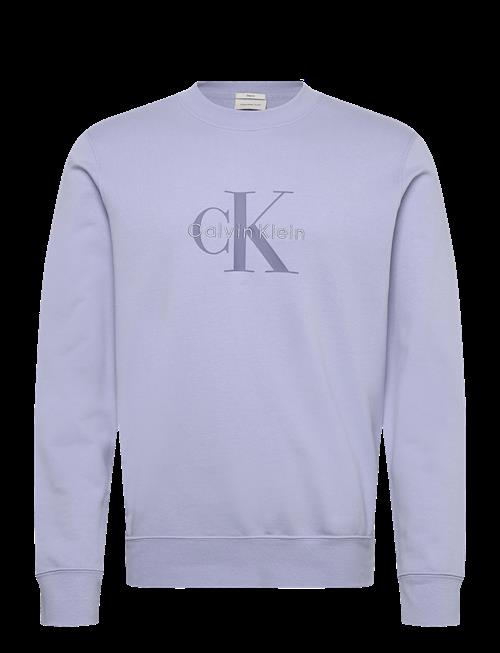 Calvin Klein Jeans | Cl Ls 350Terry Mnlg Cn Swtshrt | L