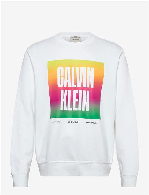 Calvin Klein Jeans | Ls 350Tery Calvn Prde Cn Swtshrt | L