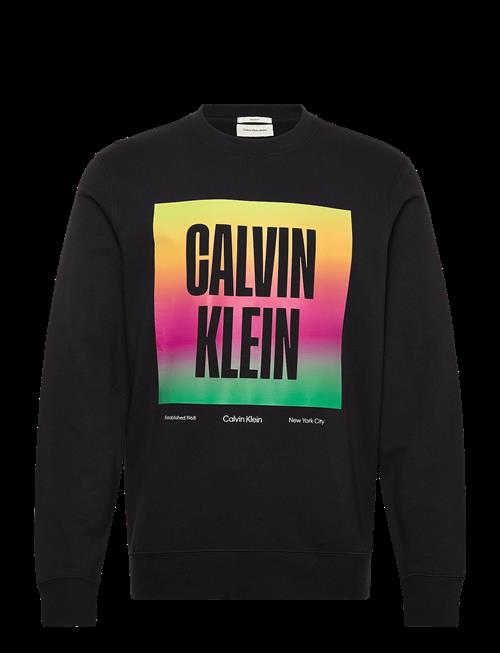 Calvin Klein Jeans | Ls 350Tery Calvn Prde Cn Swtshrt | S