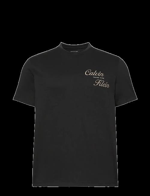 Calvin Klein Jeans | Ss 30S Eu Calvin Klein Resrt Gra | XL
