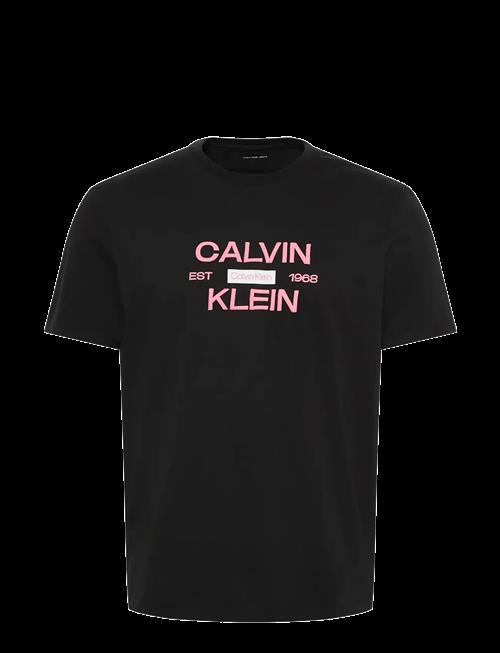 Calvin Klein Jeans | Ss 30S Eu Calvinklein Stack Grap | M