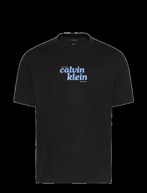 Calvin Klein Jeans | Ss 20S Calvinklein Trvl Font Gra | XXL