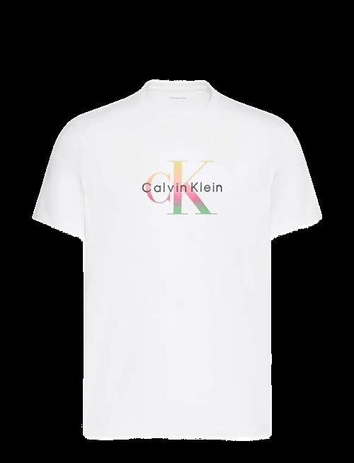 Calvin Klein Jeans | Ss 20S Ck Pride26 Graphic Clsc T | S