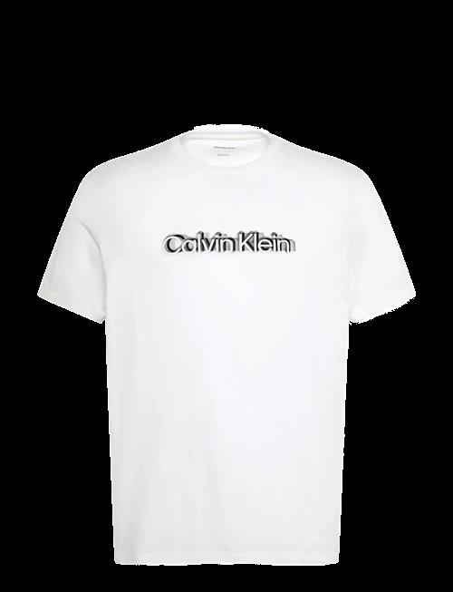 Calvin Klein | Ss 30S Eu Spw Puff Stndrd Graphi | L